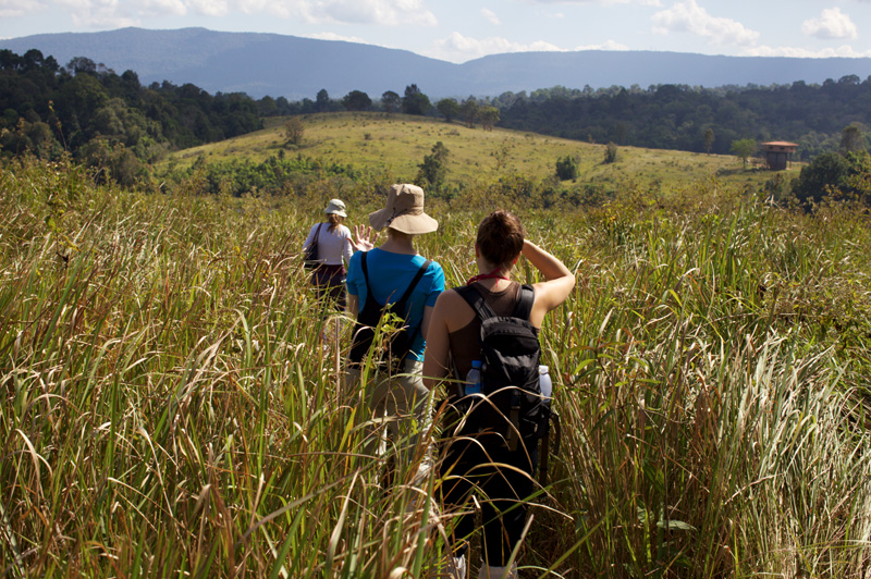 photo-yves-colas-thailande-parc-kao-yai