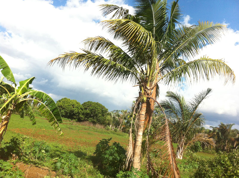 Une-toute-zen-madagascar (31)