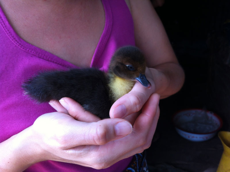 Une-toute-zen-madagascar (86)