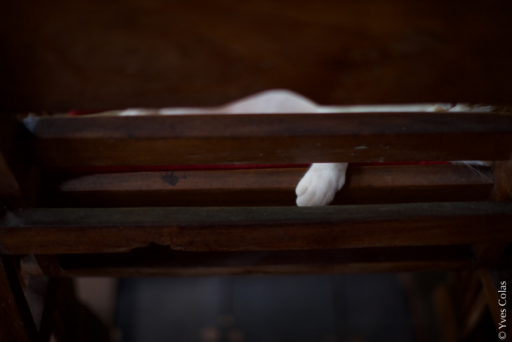 thailande-chiang-mai-voyage-yves-colas-23