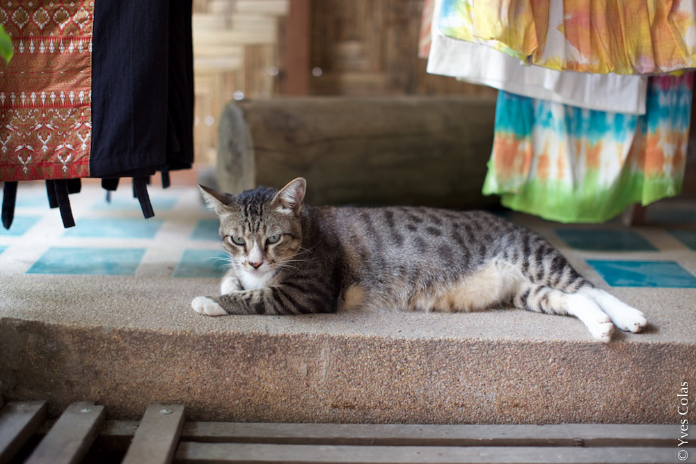 thailande-chiang-mai-voyage-yves-colas-32