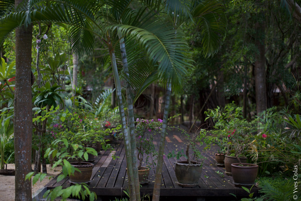 thailande-chiang-mai-voyage-yves-colas-32