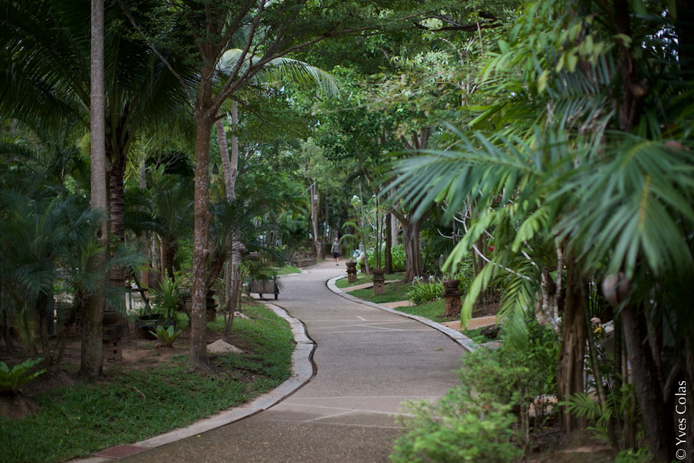 thailande-chiang-mai-voyage-yves-colas-9