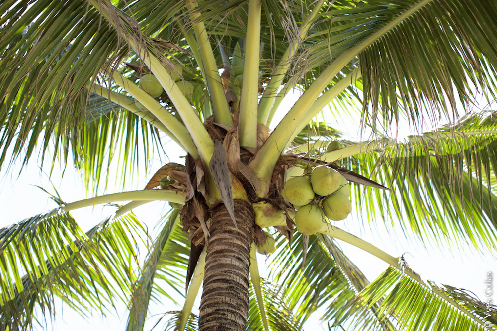 thailande-phuket-kamala-voyage-yves-colas-46