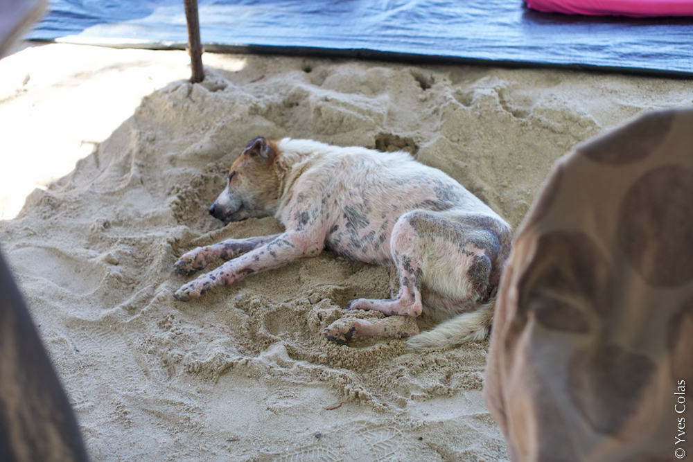 thailande-phuket-kamala-voyage-yves-colas-49