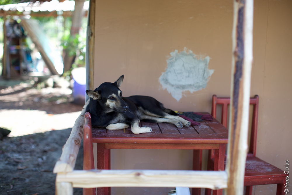 thailande-phuket-kamala-voyage-yves-colas-9