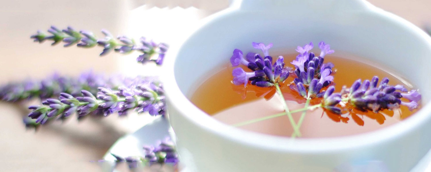 Questions fréquentes sur le Jeûne