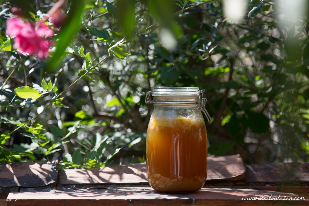 kefir fruits limonade maison-3