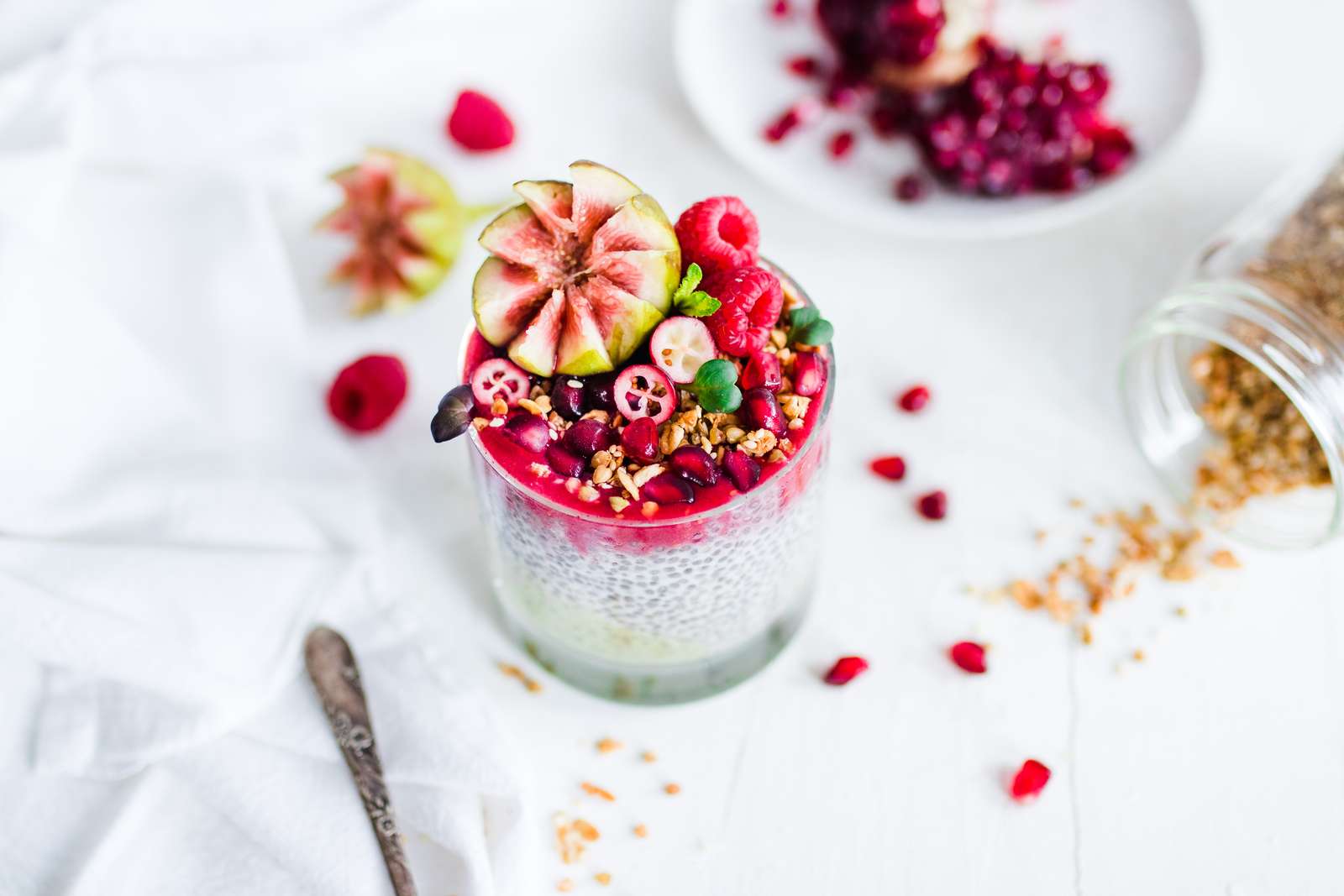 Les plus belles recettes de Puddings de Chia