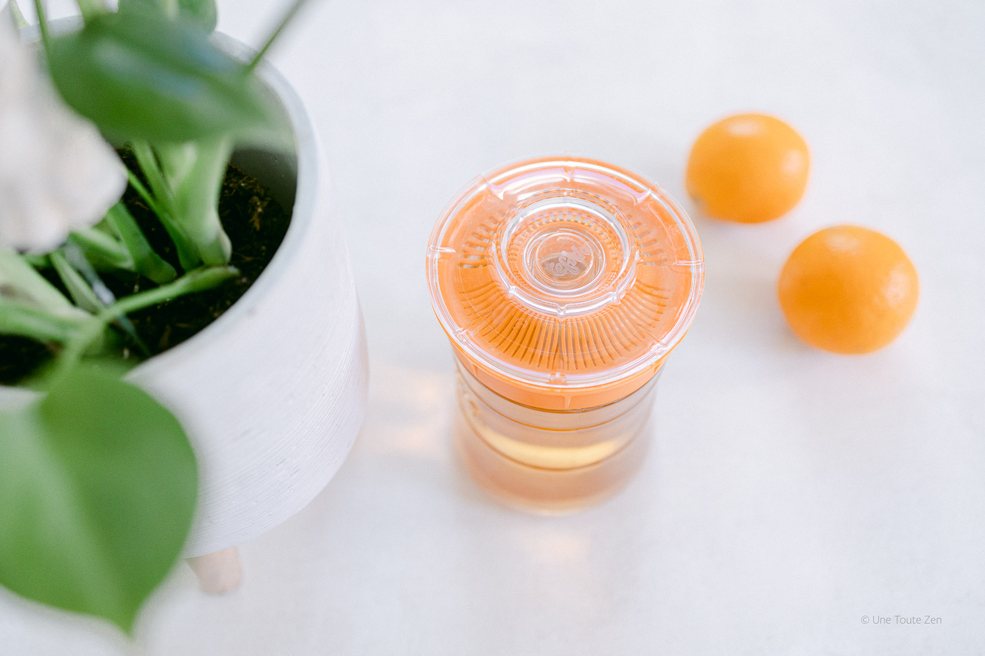 Le kombucha au gingembre fait maison